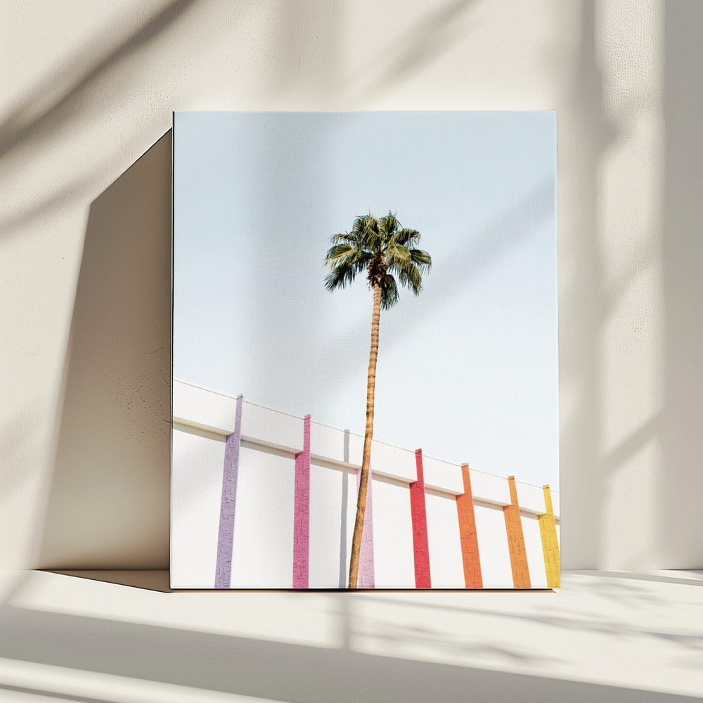 Palm Spring Colors 2 | Canvas
