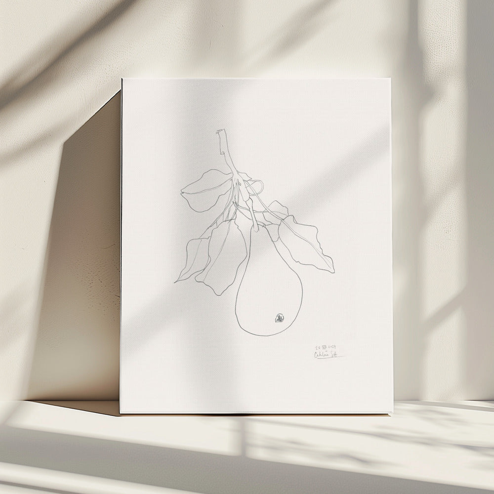 Elegant Pear Sketch | Canvas