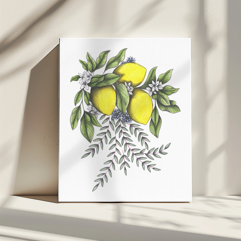 Lemons and Green leaves with Delicate White Blossoms | Canvas
