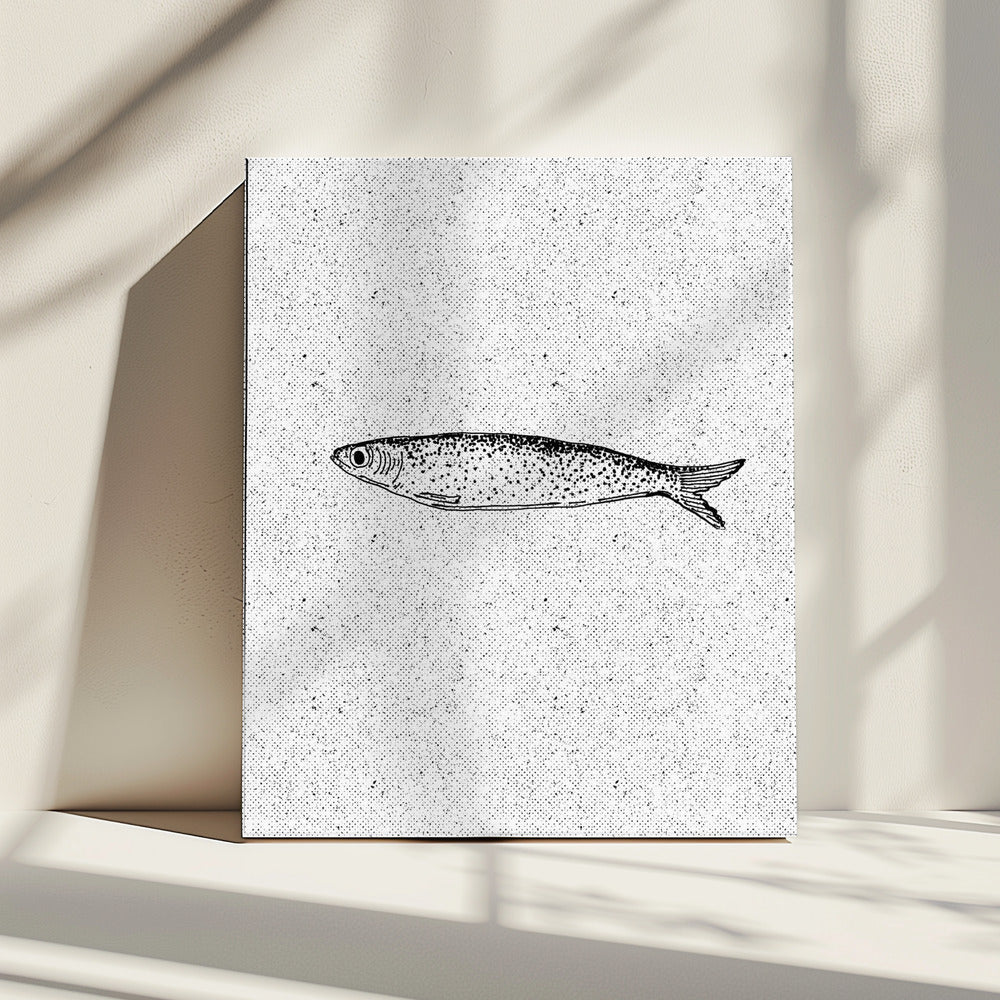 Vintage Fish Illustration | Canvas