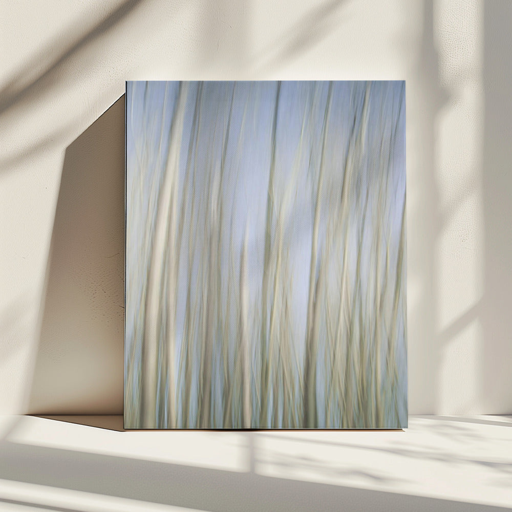 Whispering Trees | Canvas