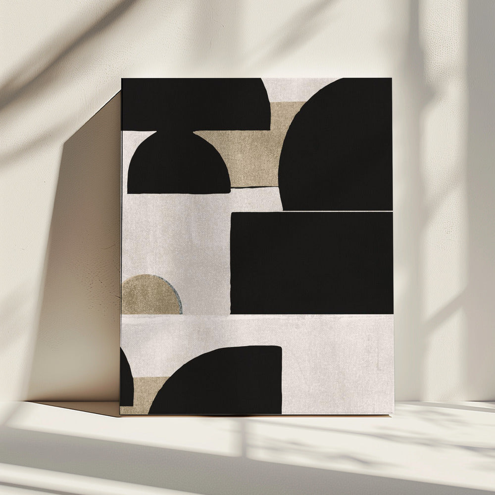 Shadow Play Forms | Canvas