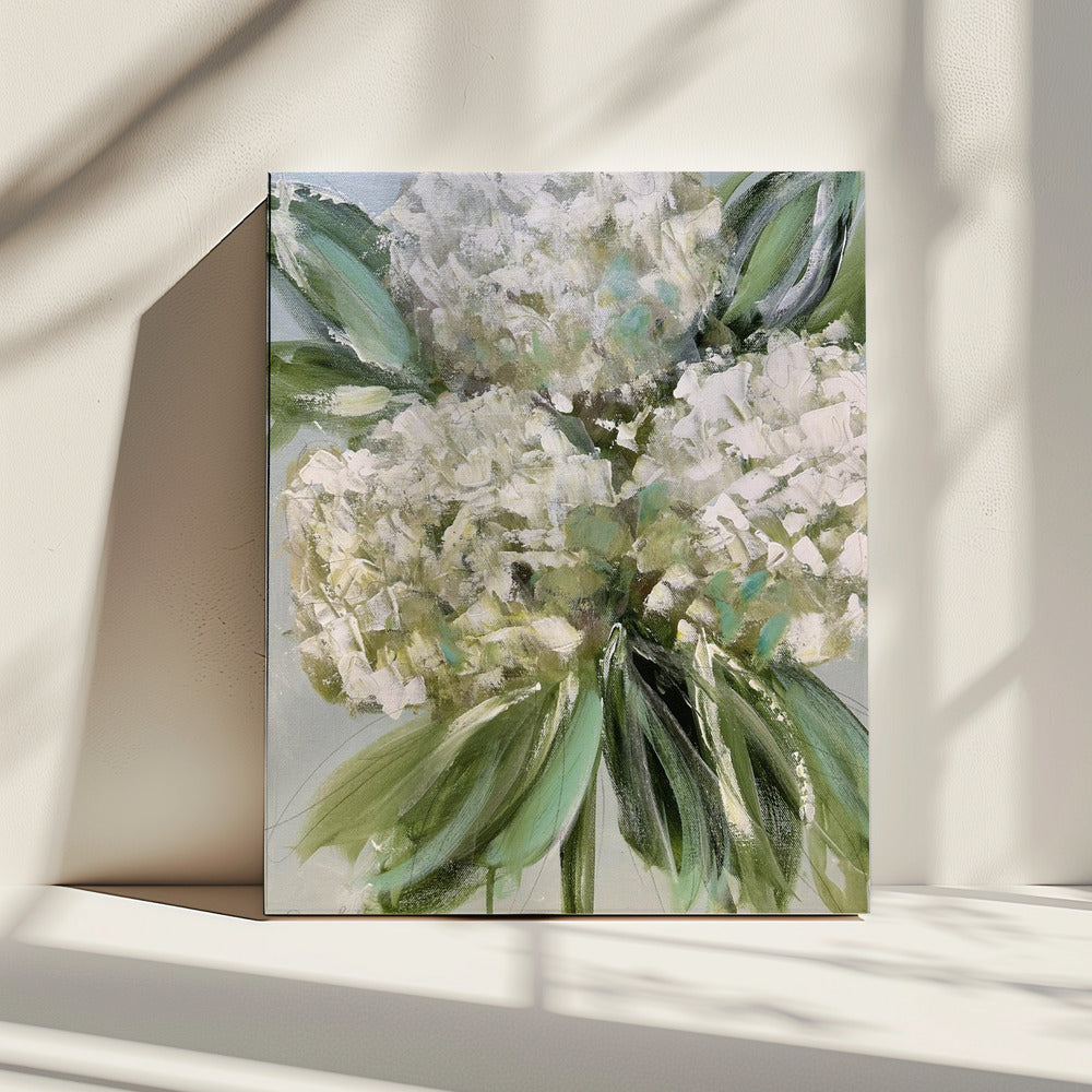 White Hydrangeas with Lush Green Leaves | Canvas