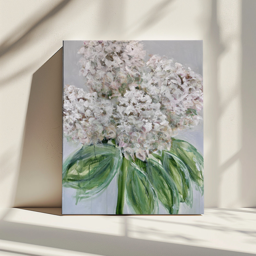 White Hydrangea Bloom | Canvas