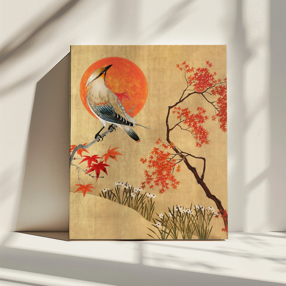 Automne Japonais | Canvas