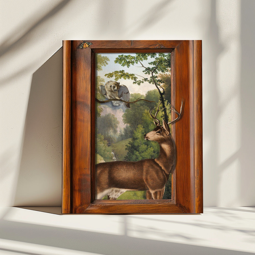 Tales of Owls and Deer | Canvas