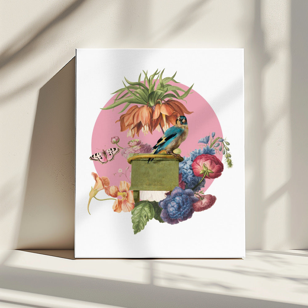 Colorful Bird Perched On A Box | Canvas