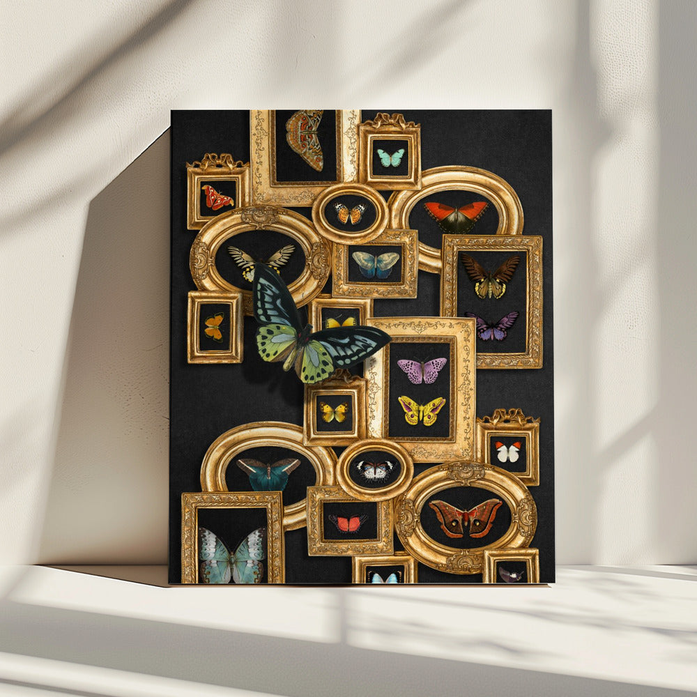 A Collection Of Butterflies | Canvas