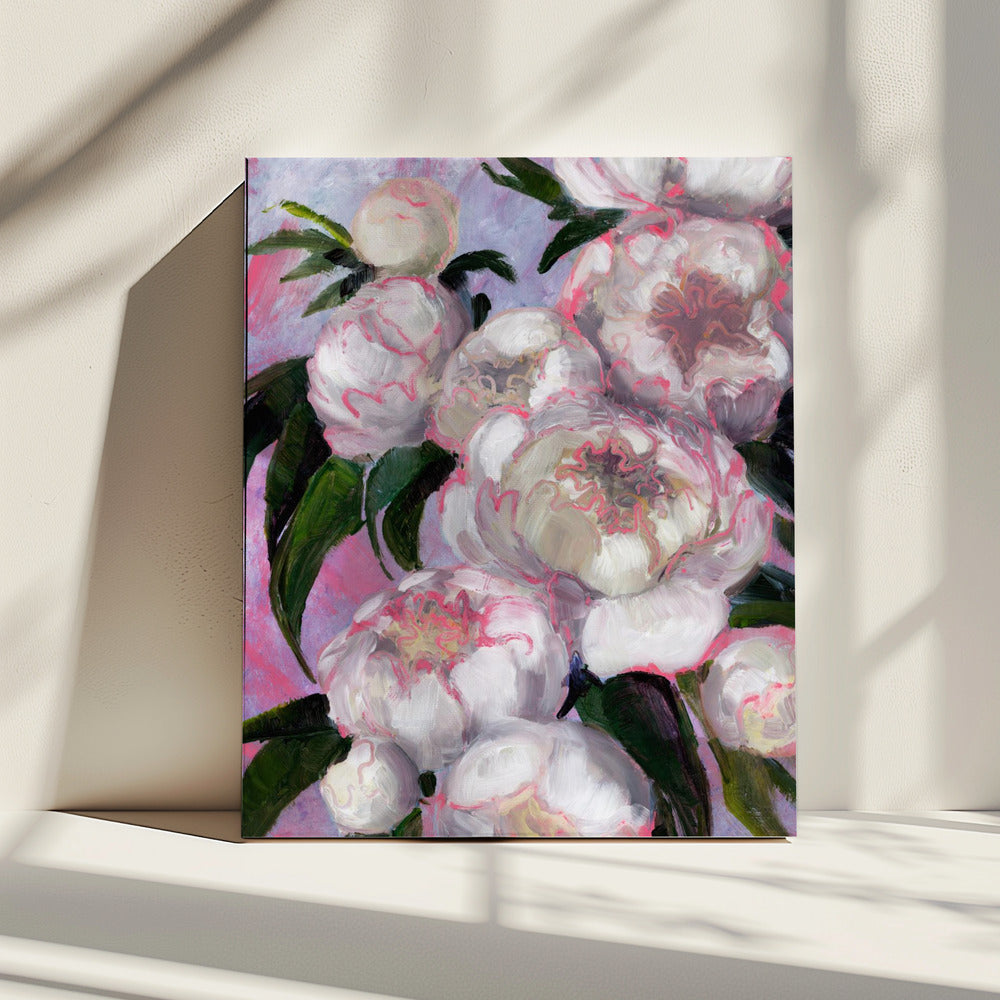 White Peonies With Pink Highlights | Canvas