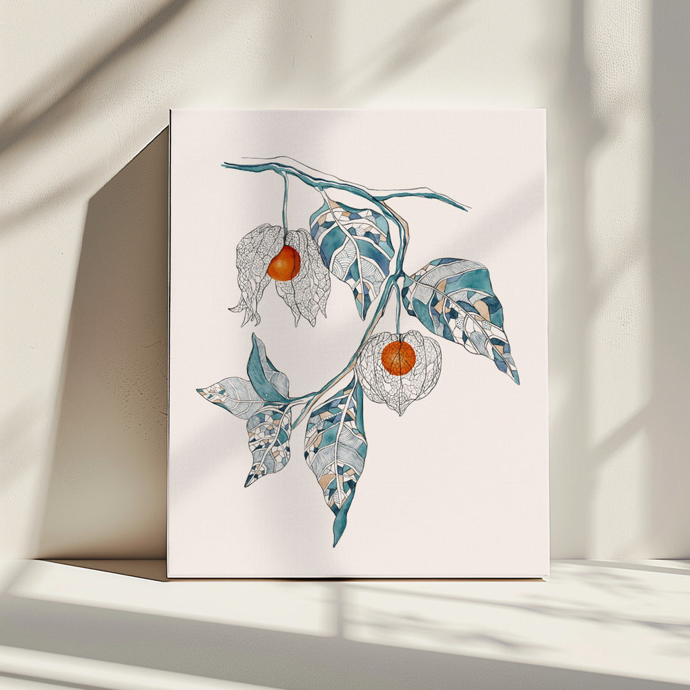 Chinese Lantern | Canvas