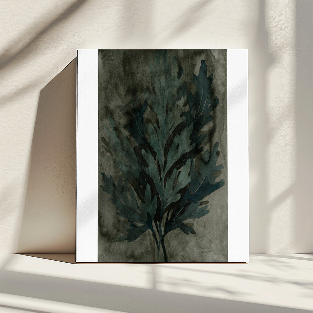 Deepwater Bloom 3 | Canvas