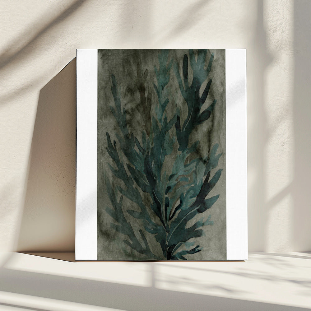 Deepwater Bloom 1 | Canvas