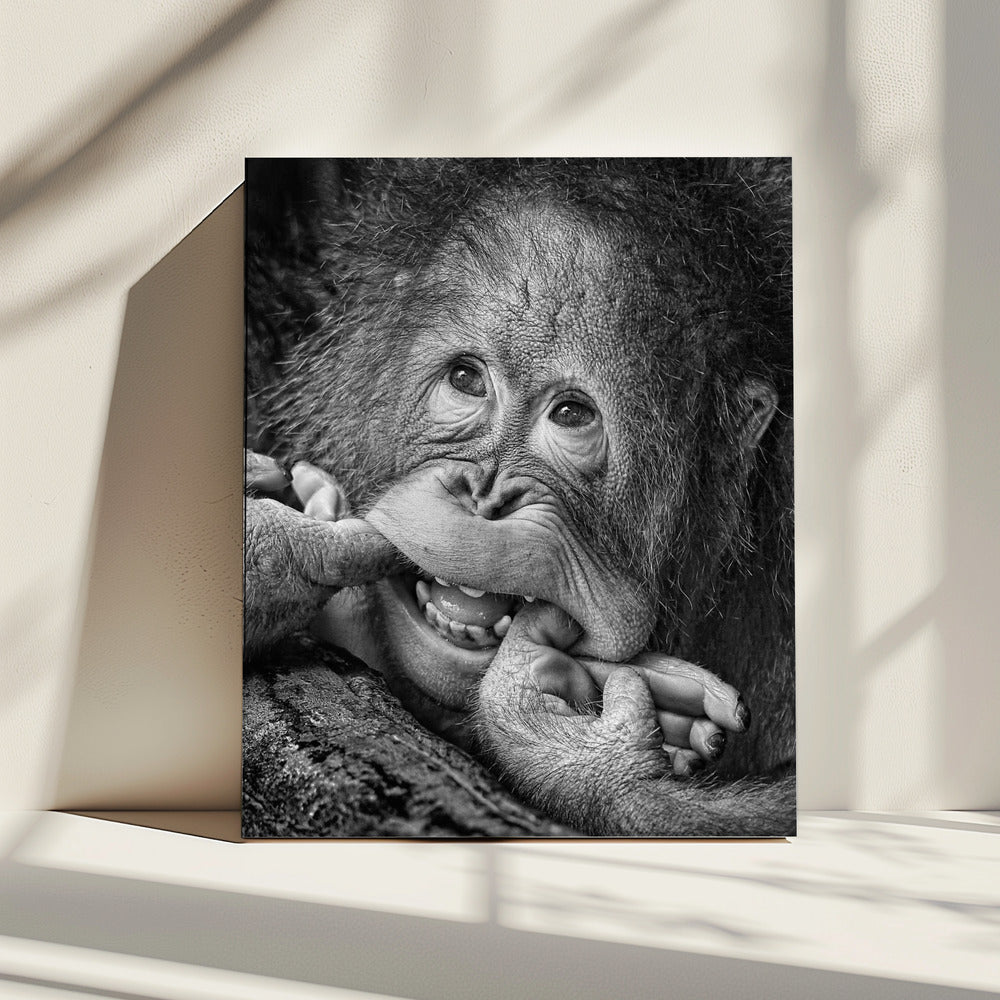 Big Smile.....please | Canvas