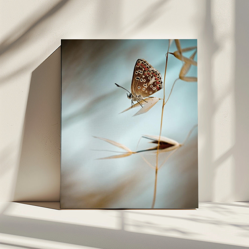 Dream in blue | Canvas