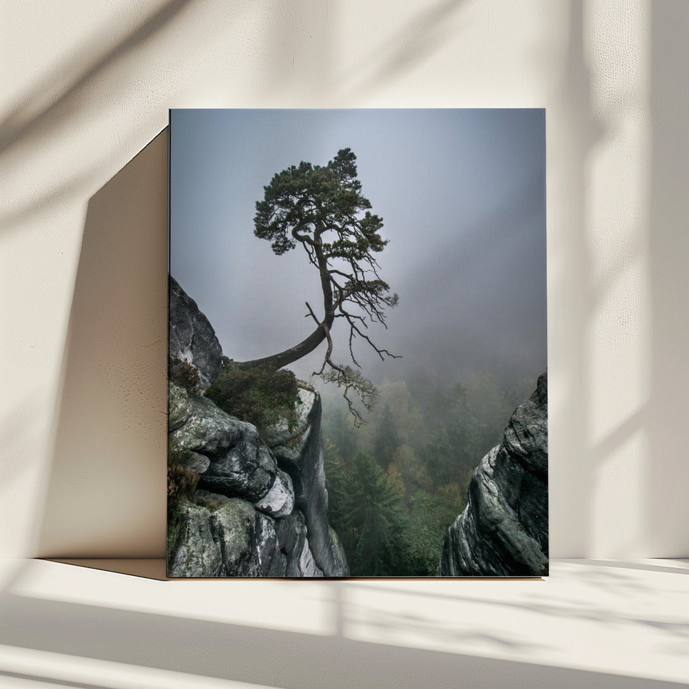 Against the Odds | Canvas