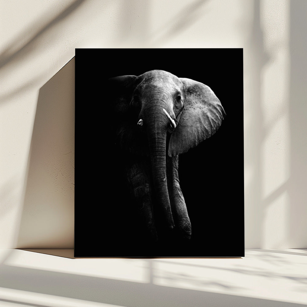 Elephant! | Canvas