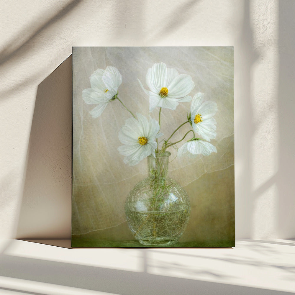 Cosmos breeze | Canvas