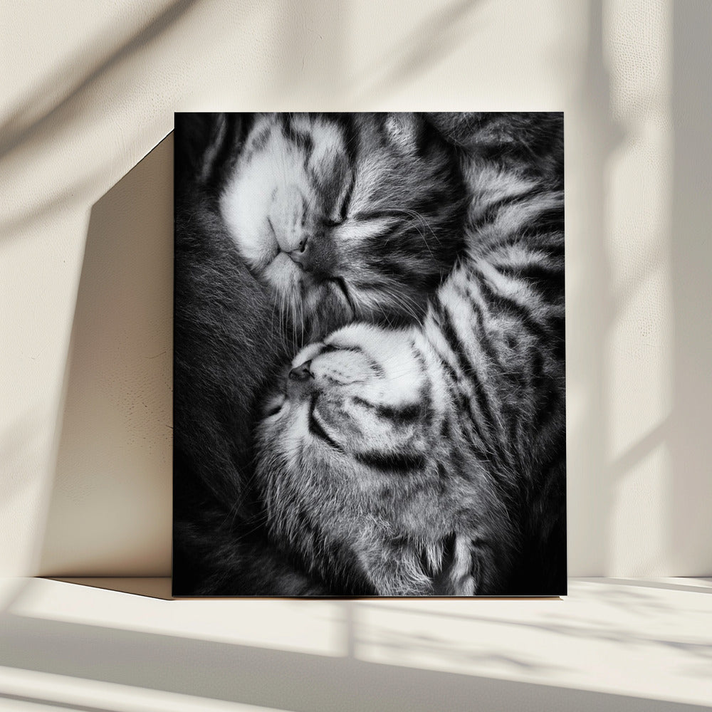 Yin and Yang | Canvas