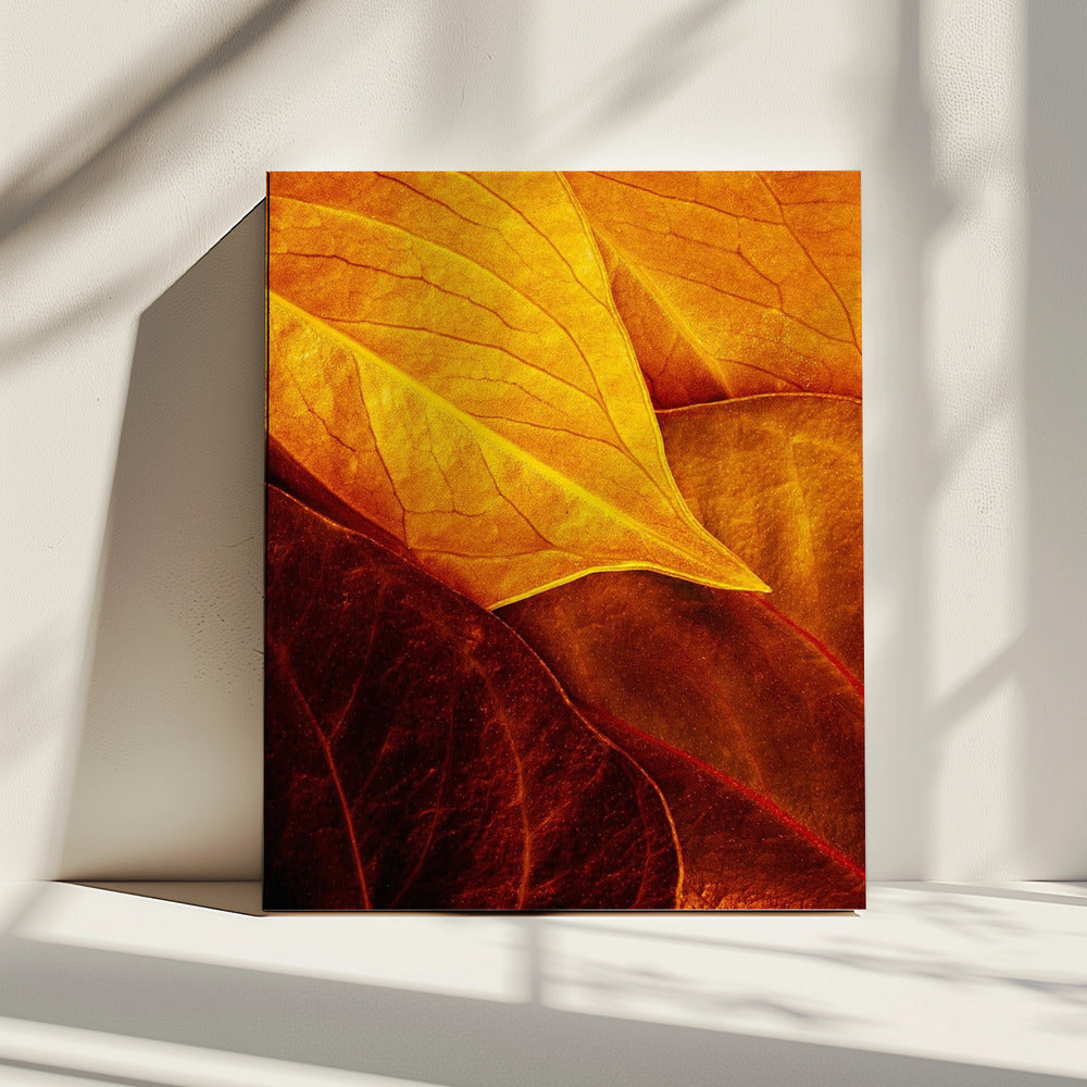 Leaves | Canvas