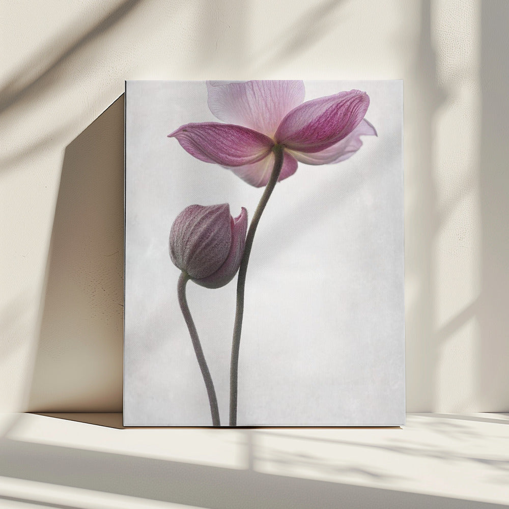 A Little Touch | Canvas