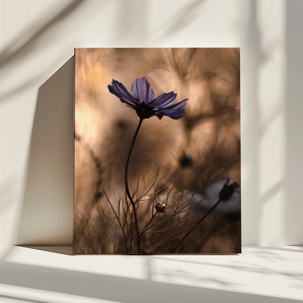 The Dancing Queen | Canvas