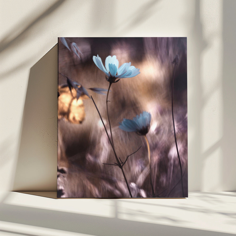 Lueur d'Automne | Canvas