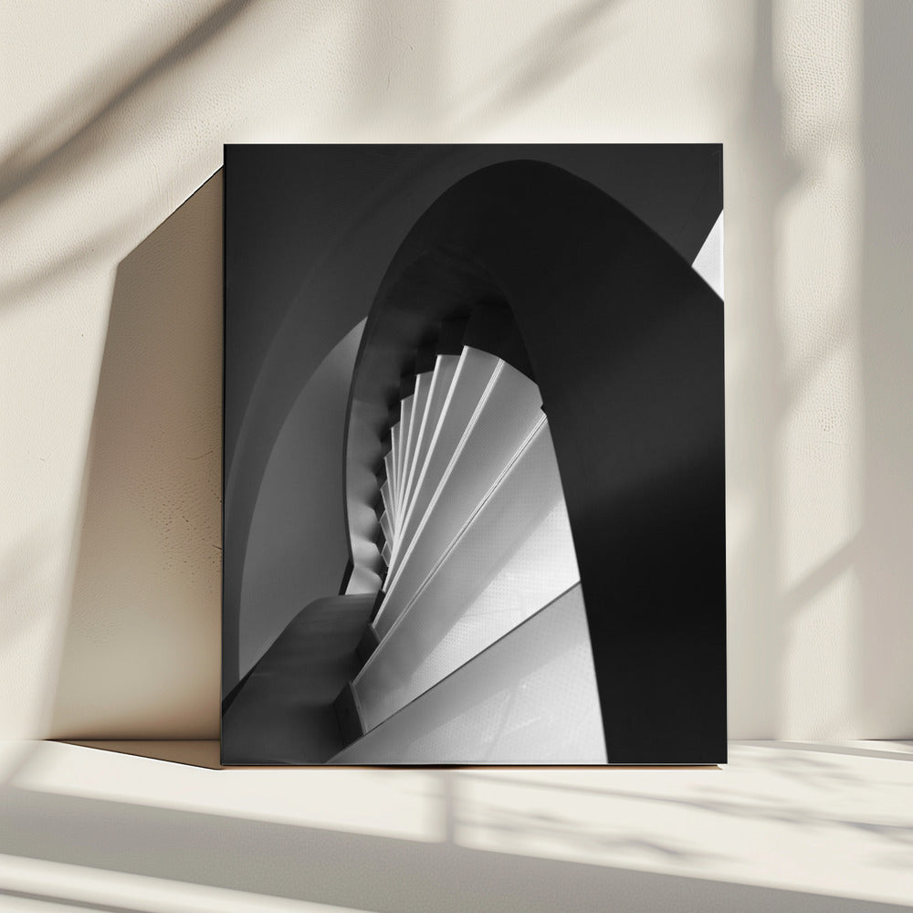 Straight and curves lines | Canvas