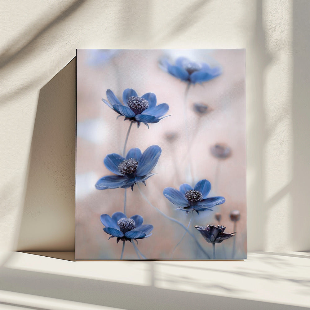 Cosmos blue | Canvas