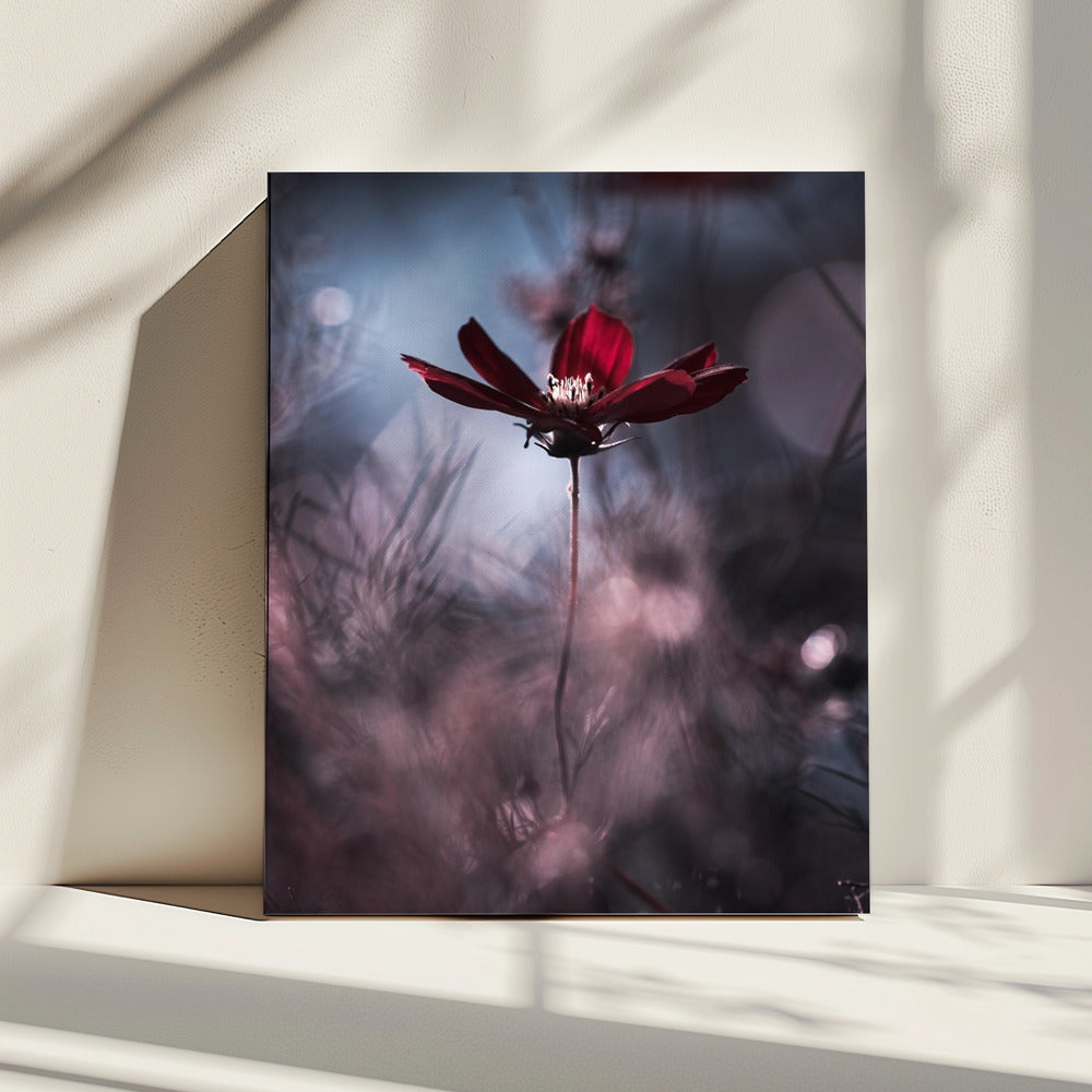 Tenue de soirÃ©e | Canvas