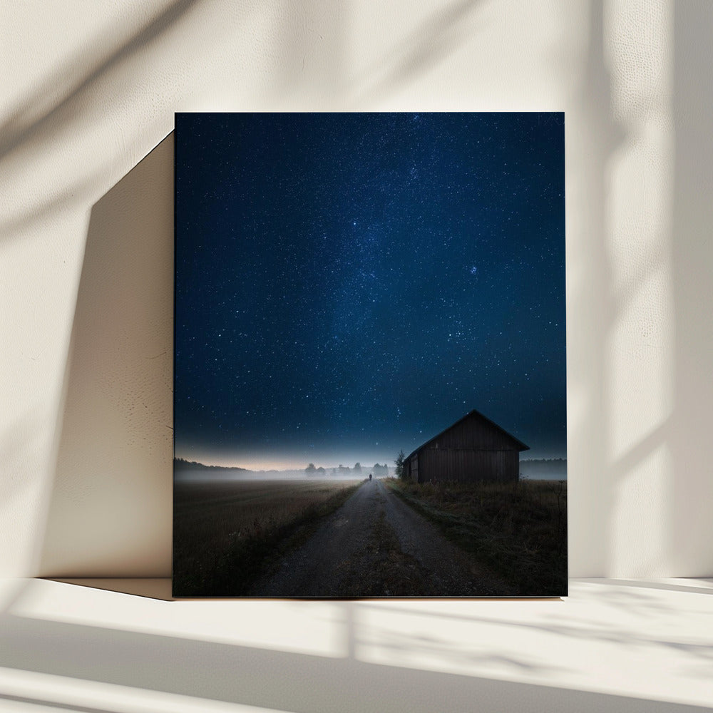 I walk alone | Canvas