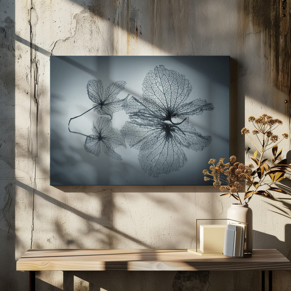 Ephemeral Beauty | Canvas