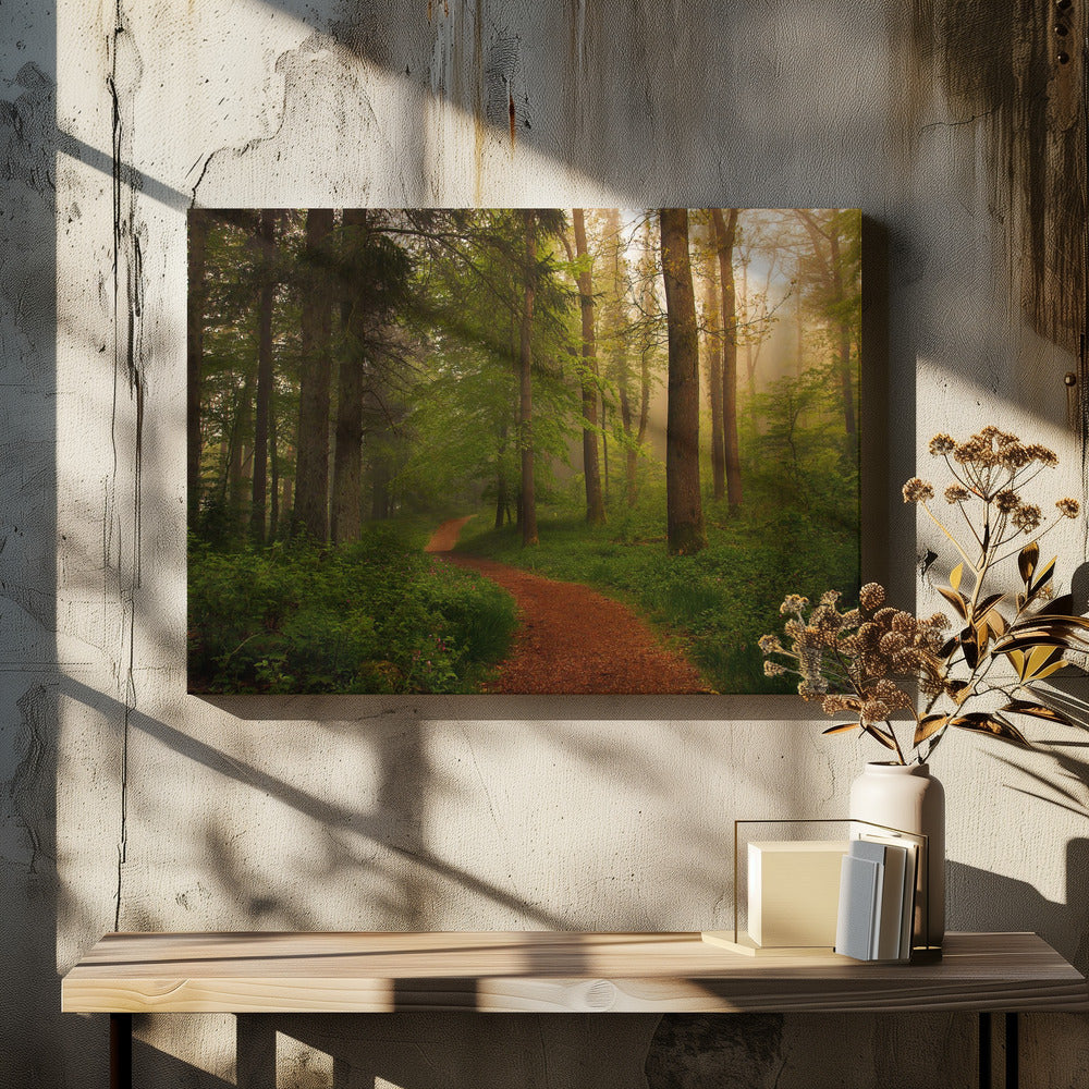 The Red Path. | Canvas