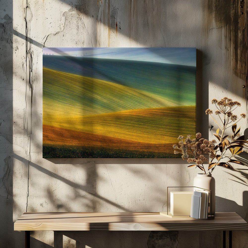 Spring fields | Canvas
