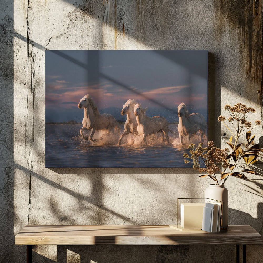Angels of Camargue | Canvas
