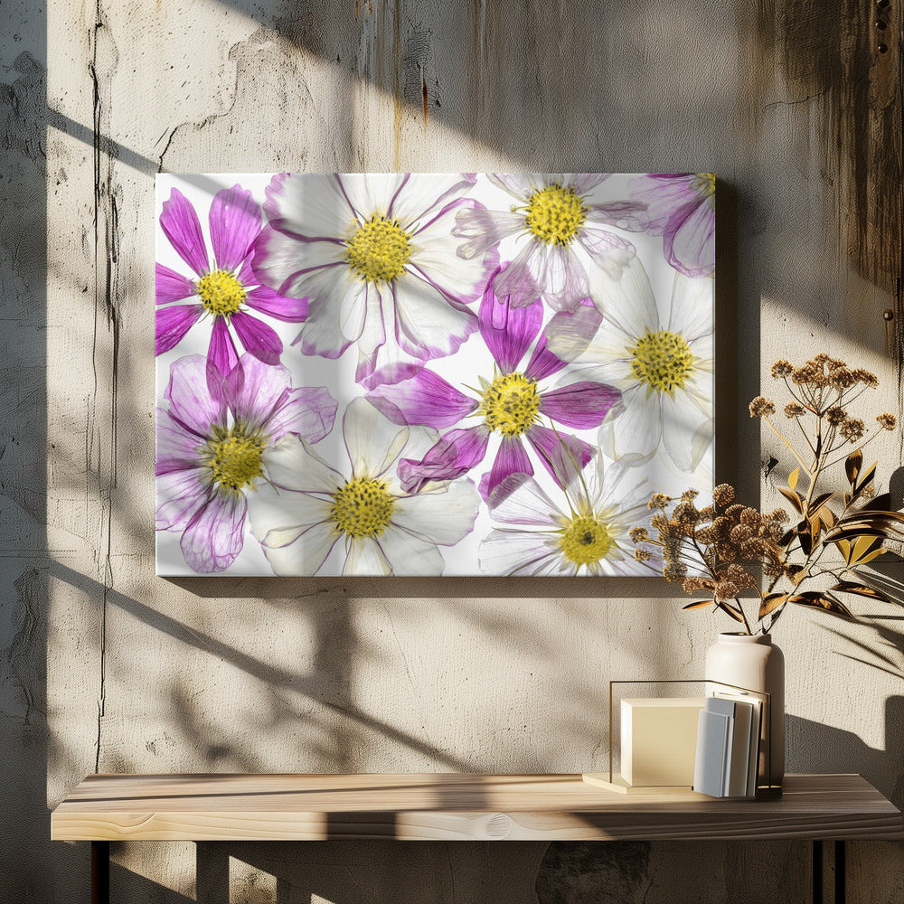 Keeping Summer | Canvas