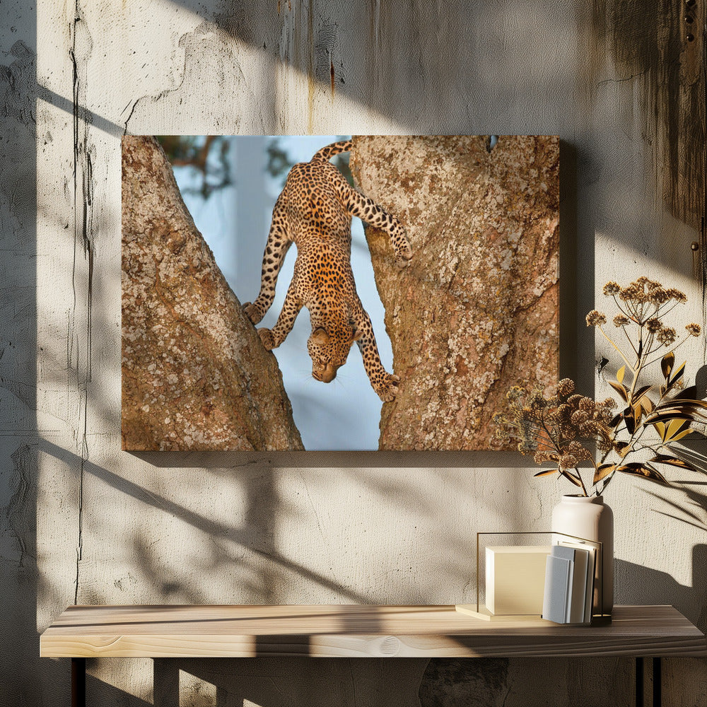 Upside Down | Canvas