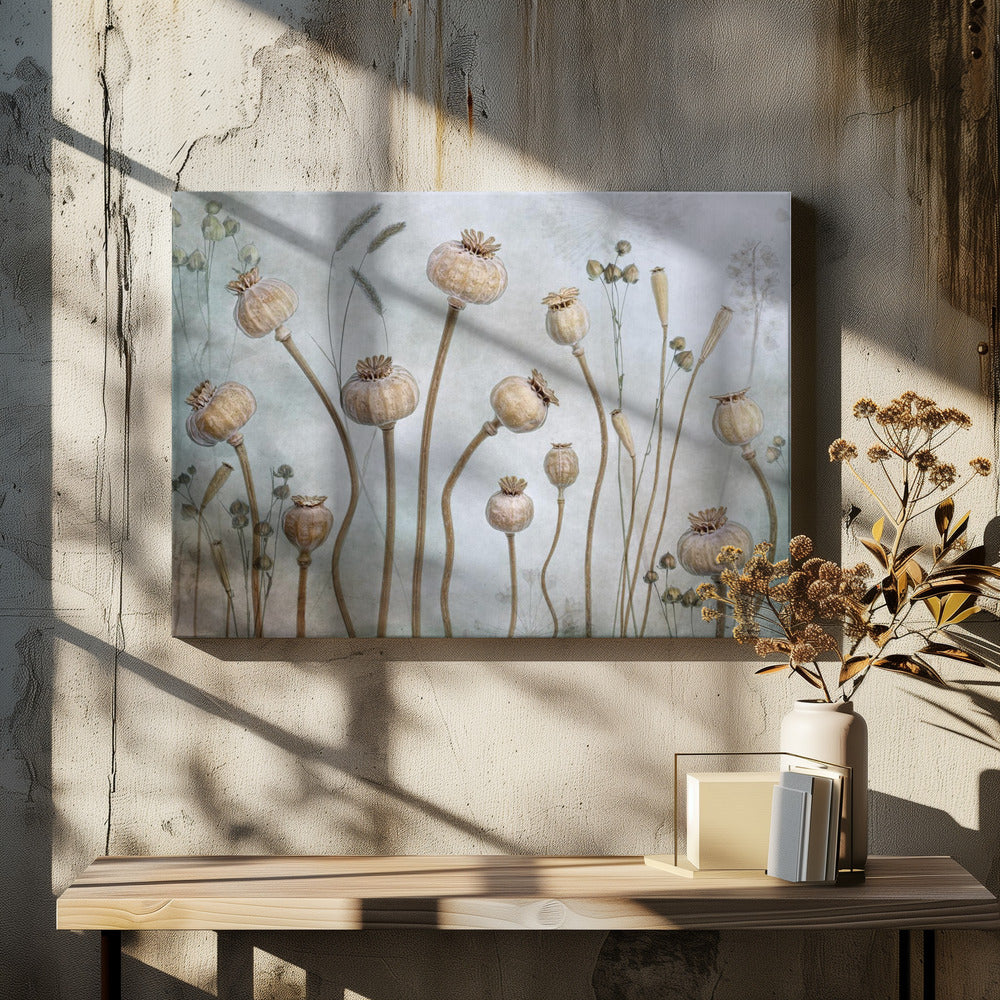 Papaver | Canvas