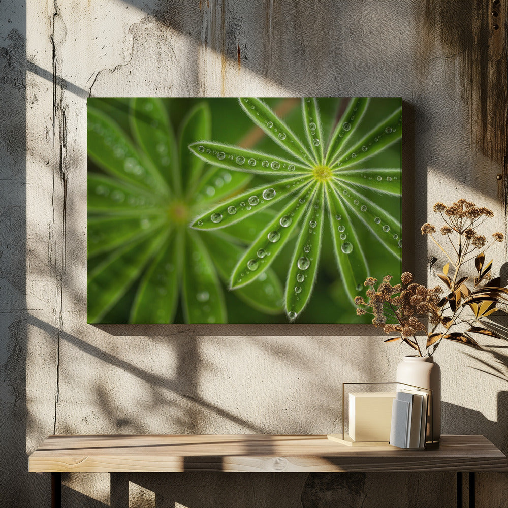 Pearly Lupine | Canvas