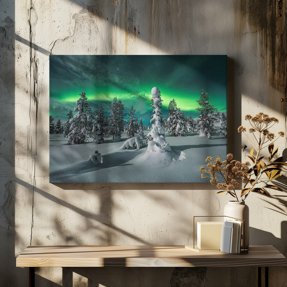 polar night | Canvas
