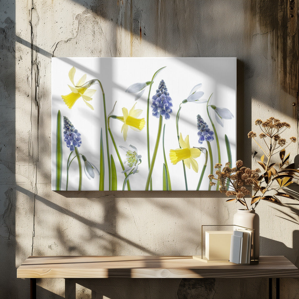 Spring | Canvas