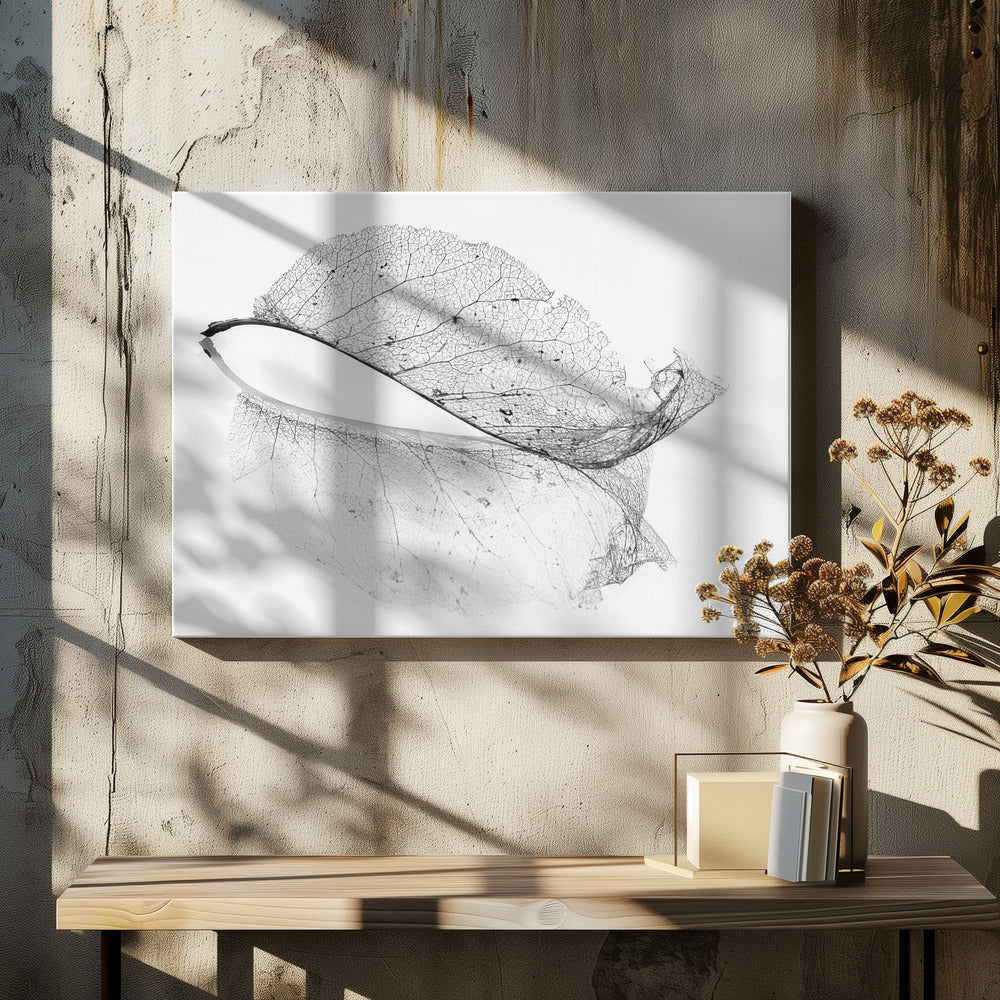 The old leaf | Canvas