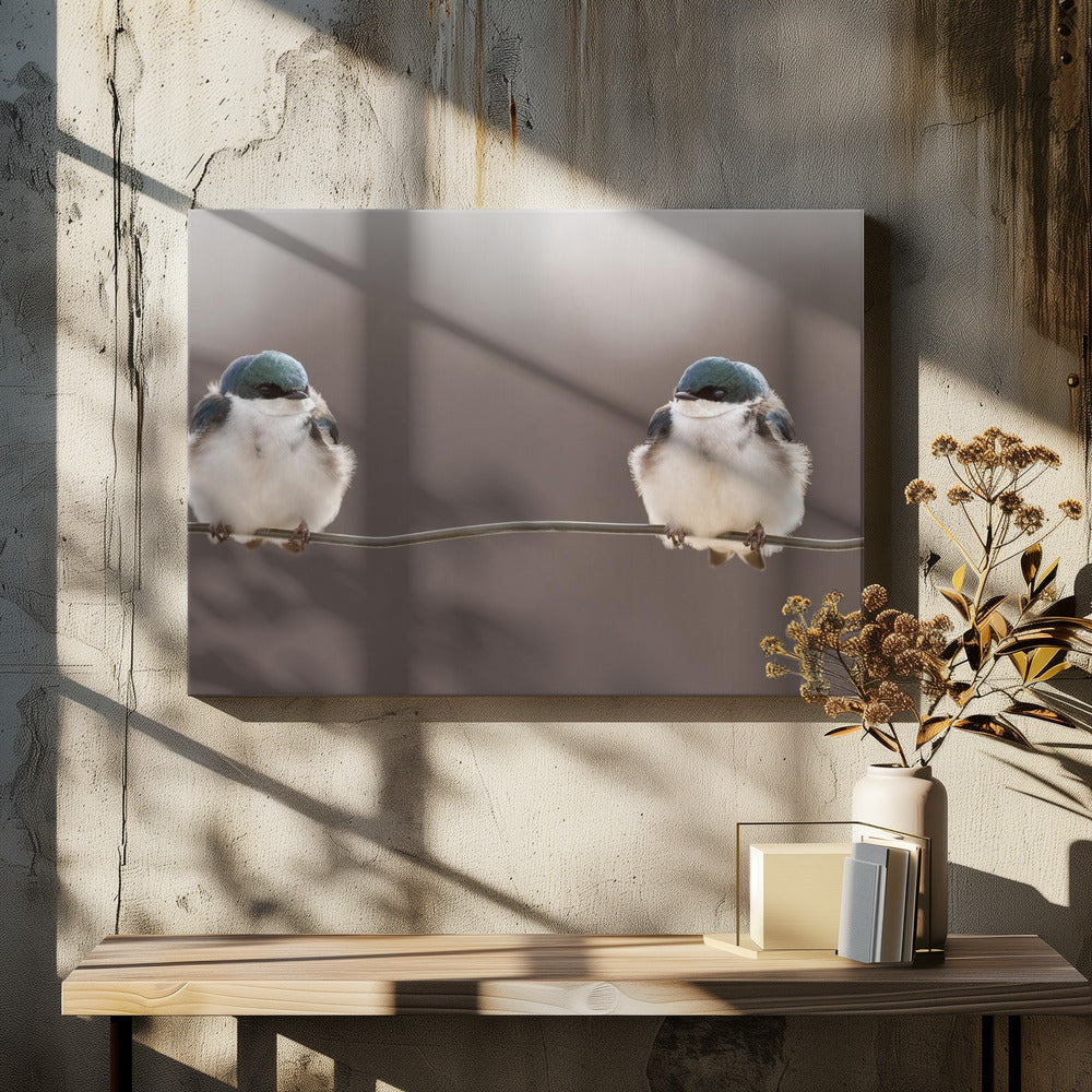 Birds on a wire | Canvas