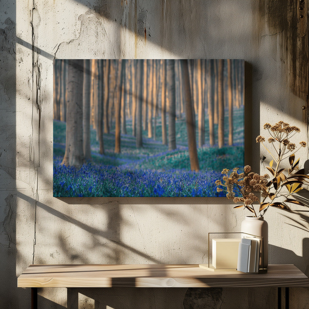 Dreams are made of these | Canvas