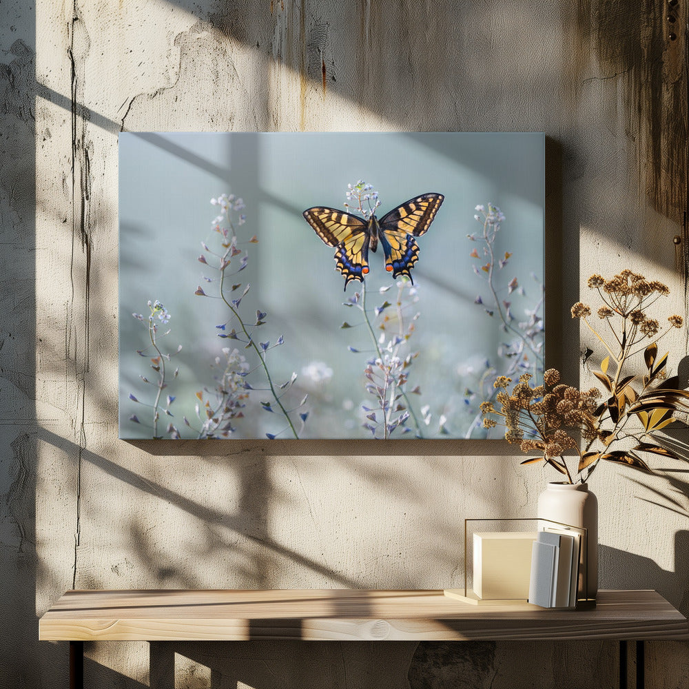 Swallowtail beauty | Canvas