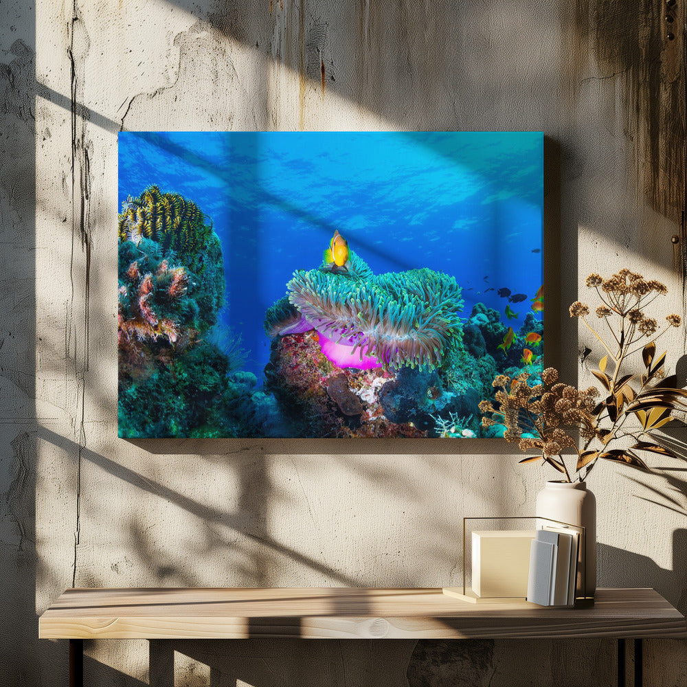 Sea life | Canvas