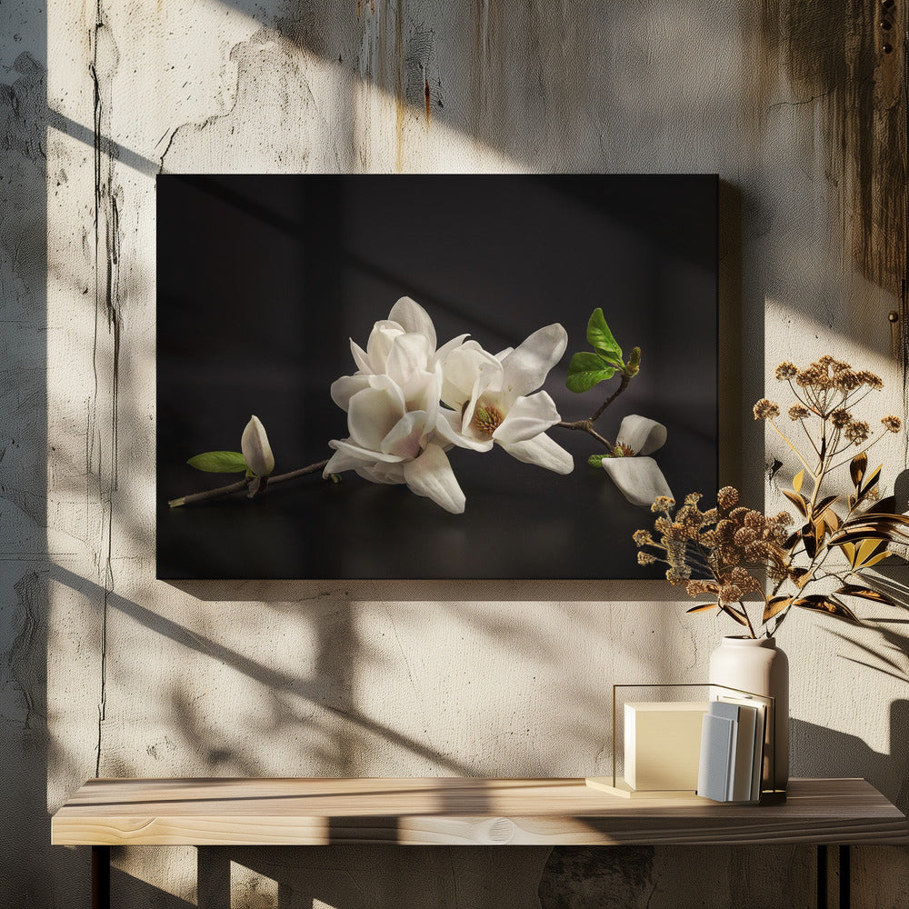 Magnolia | Canvas