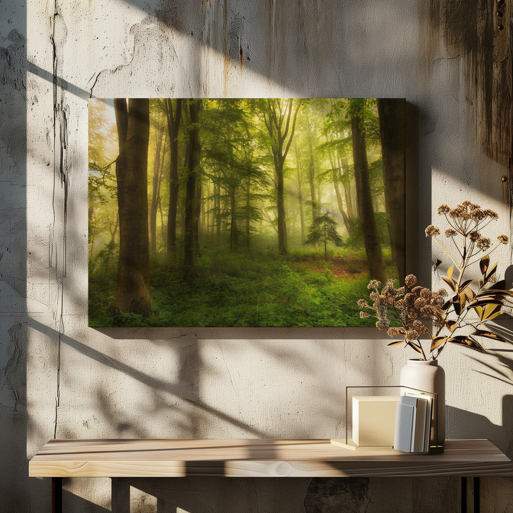 The little tree | Canvas