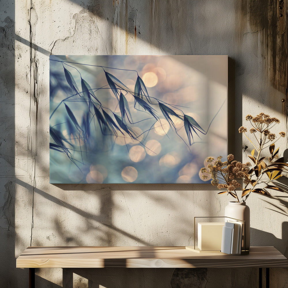 ...&lt;&lt;&lt; | Canvas