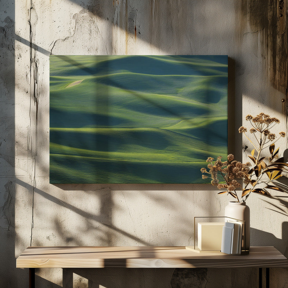 The Earth's Fine Skin | Canvas