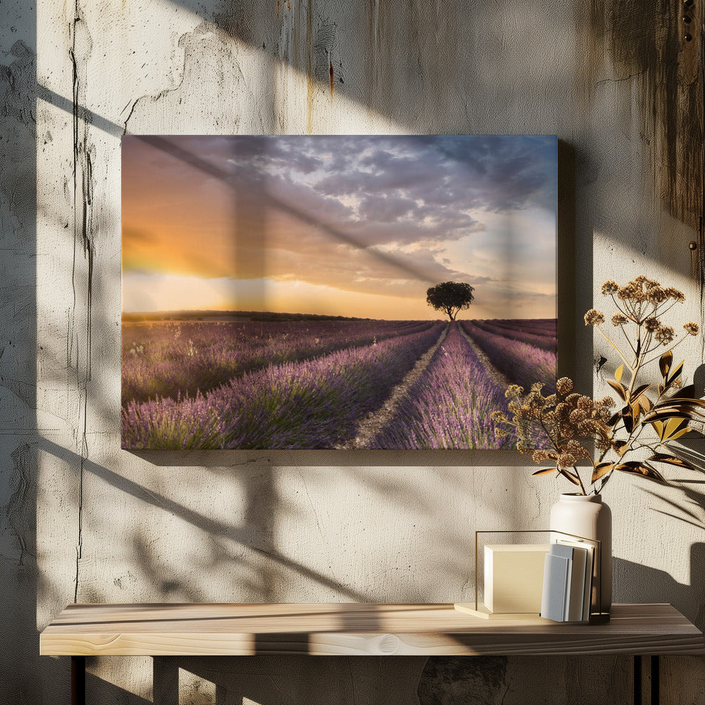 DESTINATION LAVENDER | Canvas
